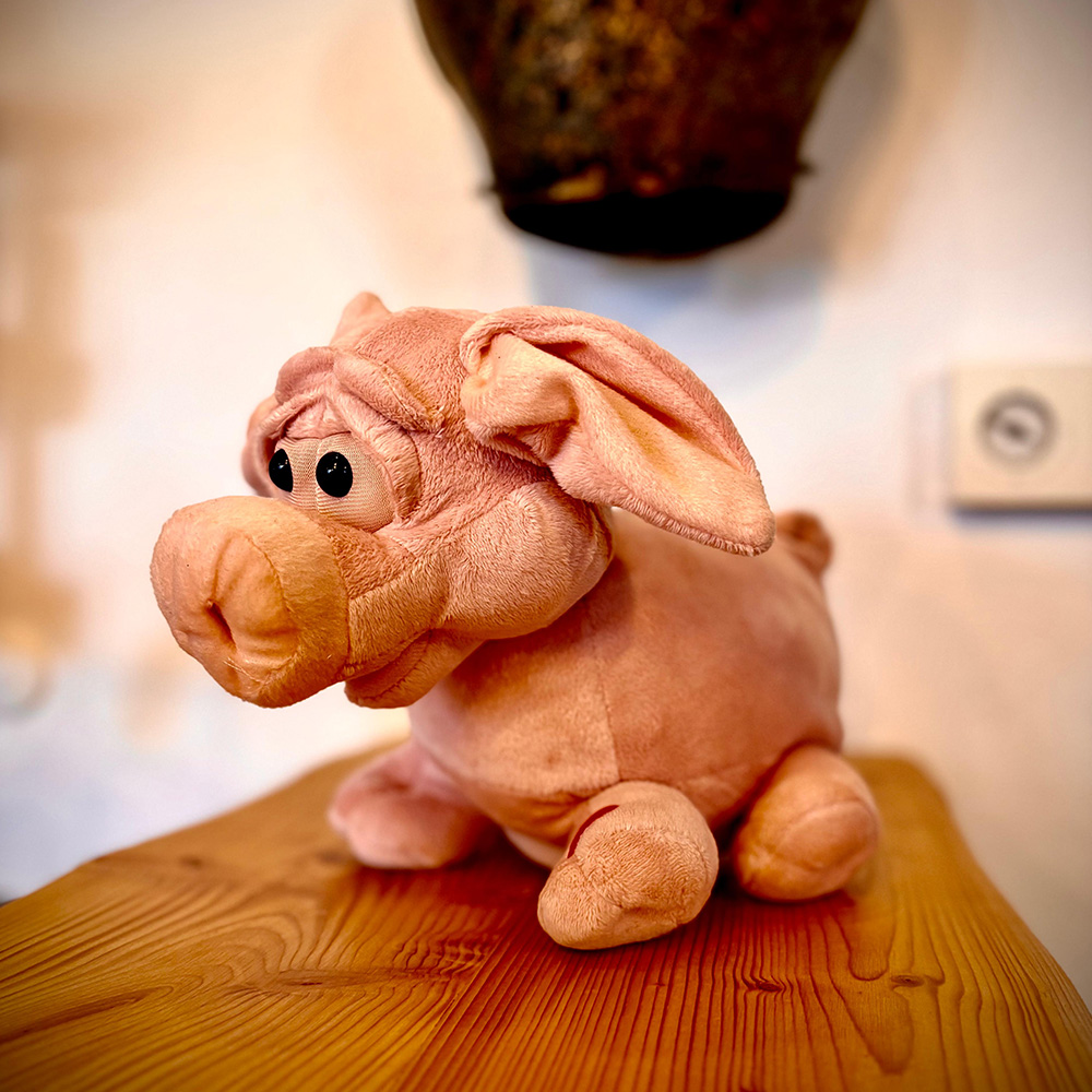 Sparschwein der Kinderkrebshilfe Rottal-Inn